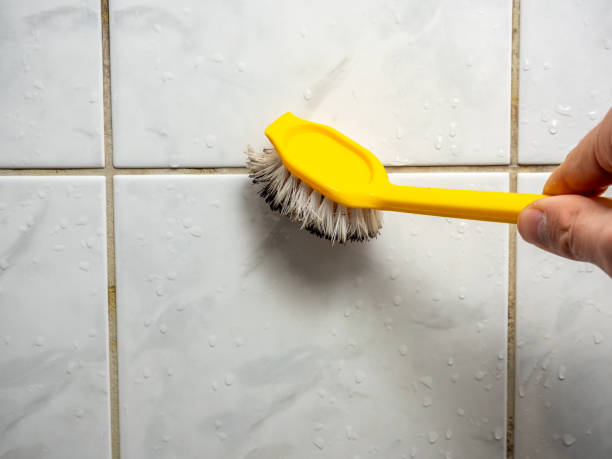 Mold Testing and Removal in Mauriceville, TX