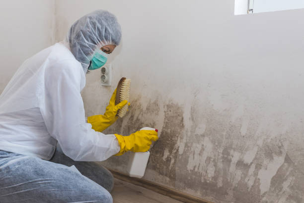 Best Crawl Space Mold Removal  in Mauriceville, TX