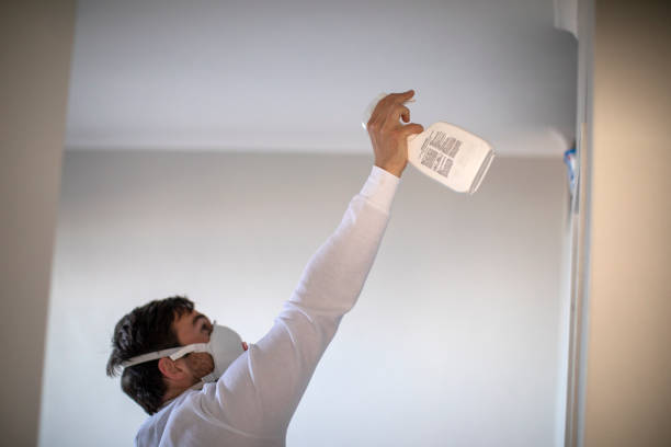 Best Attic Mold Removal  in Mauriceville, TX